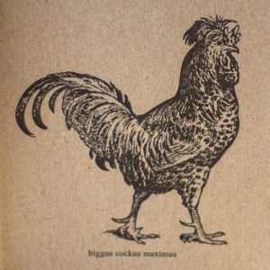 Biggus Cockus Maximus Letterpress Notebook